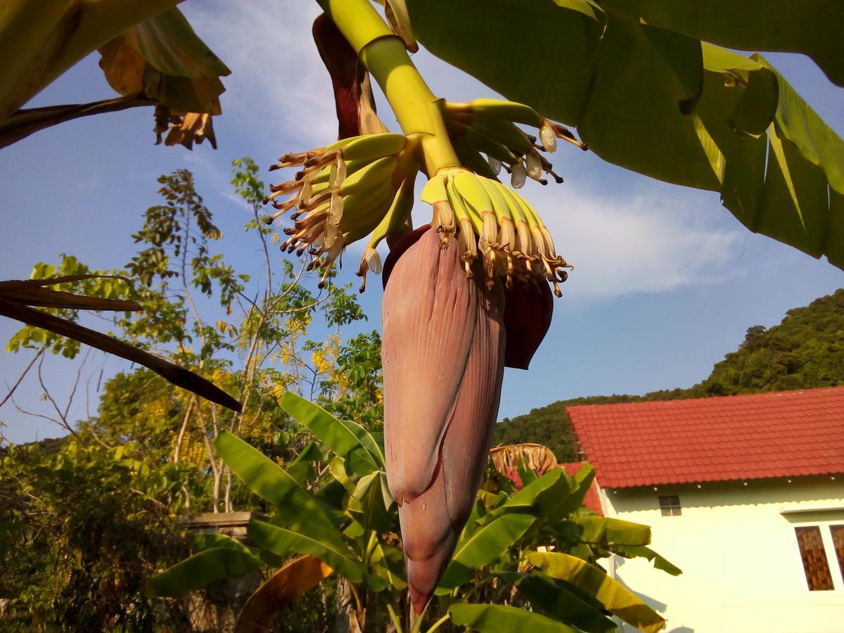 Kep Bungalows Ngoại thất bức ảnh